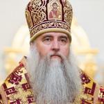  изображение для новости Поздравление с Татьяниным днем от митрополита Симбирского и Новоспасского Лонгина