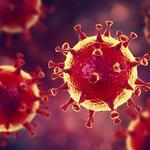  изображение для новости Специалисты УлГУ проводят диагностические исследования на выявление антител к вирусу SARS-CoV-2