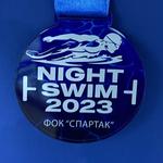  изображение для новости Серебро в ночном заплыве "Night-swim-2023"