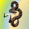  изображение для новости Виртуальная книжная выставка, посвящённая языку программирования Python
