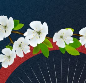  изображение для новости Поздравляем с Праздником Весны и Труда!
